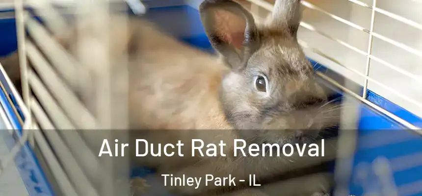  Air Duct Rat Removal Tinley Park - IL