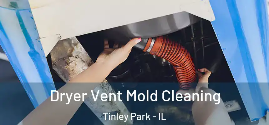  Dryer Vent Mold Cleaning Tinley Park - IL