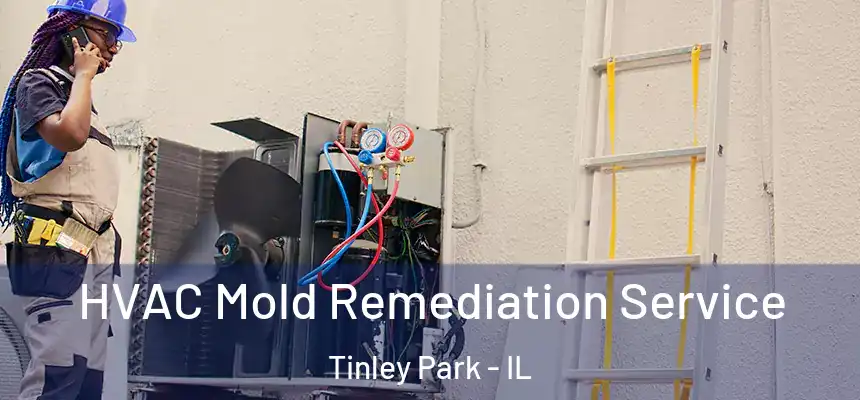 HVAC Mold Remediation Service Tinley Park - IL