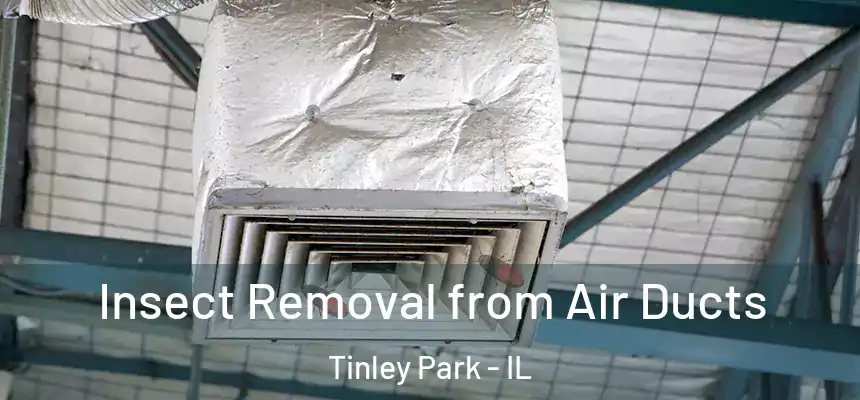  Insect Removal from Air Ducts Tinley Park - IL