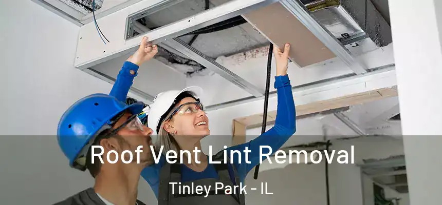 Roof Vent Lint Removal Tinley Park - IL