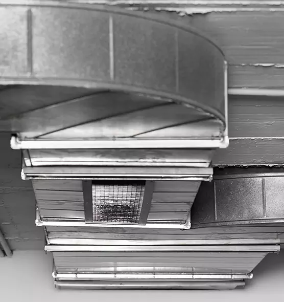 Professional Air Duct Pest Removal in Tinley Park, IL