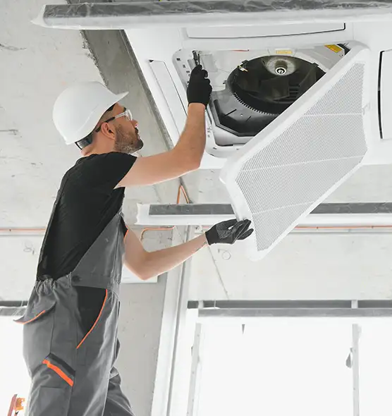 About Air Duct Rodent Removal in Tinley Park, IL