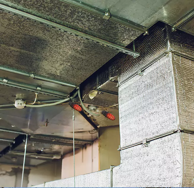 Why Homeowners & Businesses Trust Us in Tinley Park, IL?