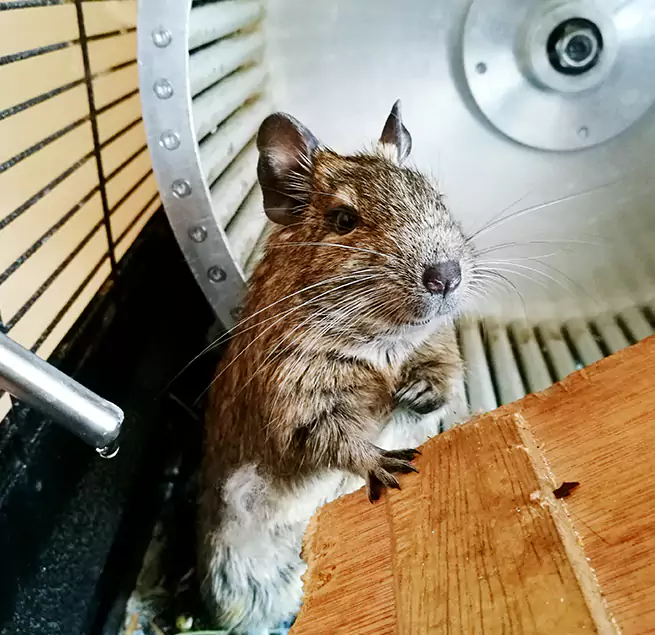 Why Homeowners & Businesses Trust Us Tinley Park, IL