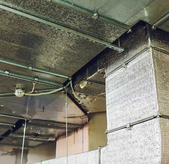 Why Homeowners & Businesses Trust Us in Tinley Park, IL?